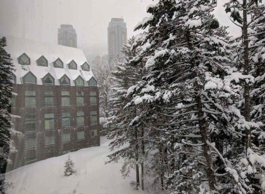 Experience the serene beauty of a winter wonderland at this stunning property.