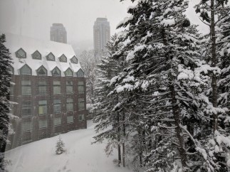 Experience the serene beauty of a winter wonderland at this stunning property.