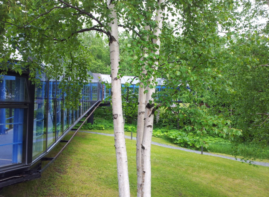 Discover a unique property surrounded by lush greenery and mature trees.