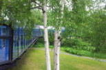 Discover a unique property surrounded by lush greenery and mature trees.
