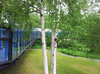 Discover a unique property surrounded by lush greenery and mature trees.