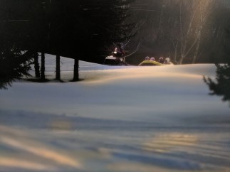 Enjoy a winter wonderland adventure with this stunning image.