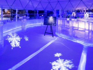 Step into a winter wonderland at this unique ice bar! The entire space is crafted from ice, creating a truly immersive experience.