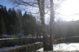 Enjoy the serene beauty of this property, surrounded by lush greenery and a blanket of snow.