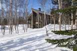 This stunning modern cabin is nestled in a snowy forest, offering breathtaking views and serene surroundings.