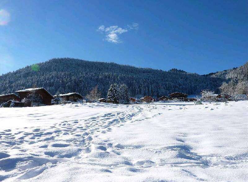 Discover serenity in this winter wonderland.