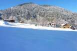 Nestled in a snowy mountainside, this charming chalet offers breathtaking views and serene winter landscapes.