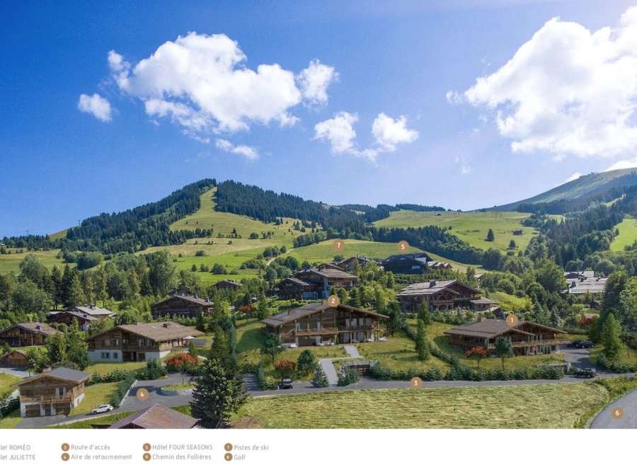 Discover luxurious chalets nestled in the heart of a scenic mountain landscape.