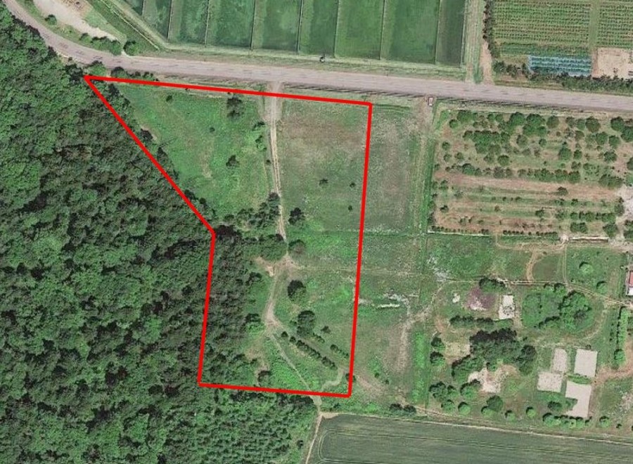 This secluded 5-acre property boasts a unique, irregular shape and is nestled within a serene forest setting.