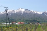 This serene vineyard boasts stunning views of snow-capped mountains in the background.