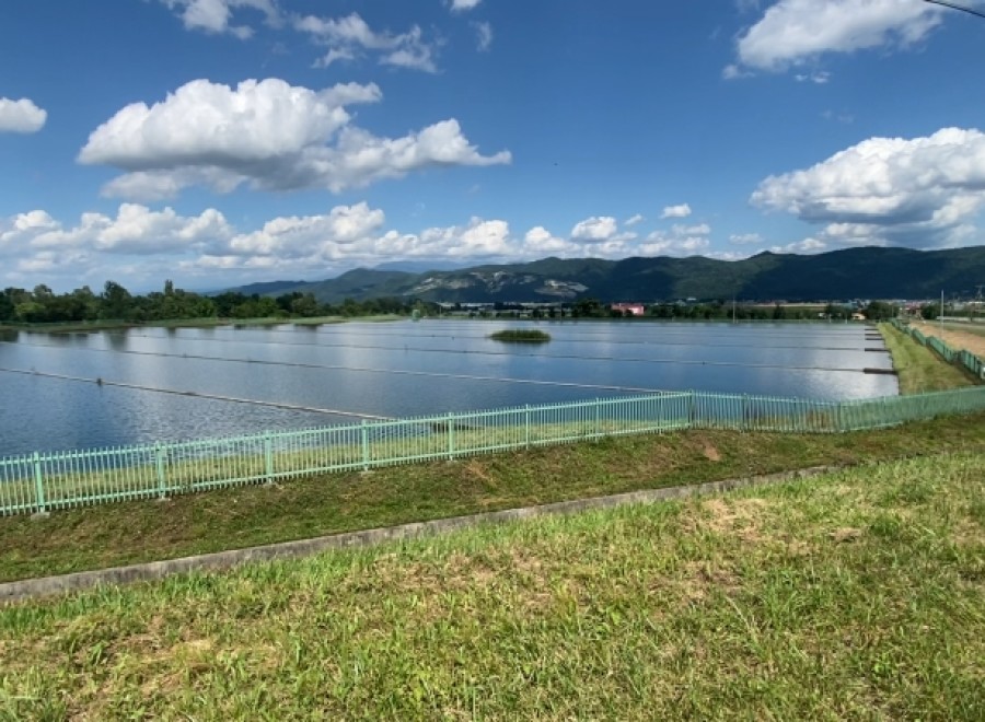 This serene property boasts a picturesque lake with a metal fence, offering stunning views of the mountains in the distance.