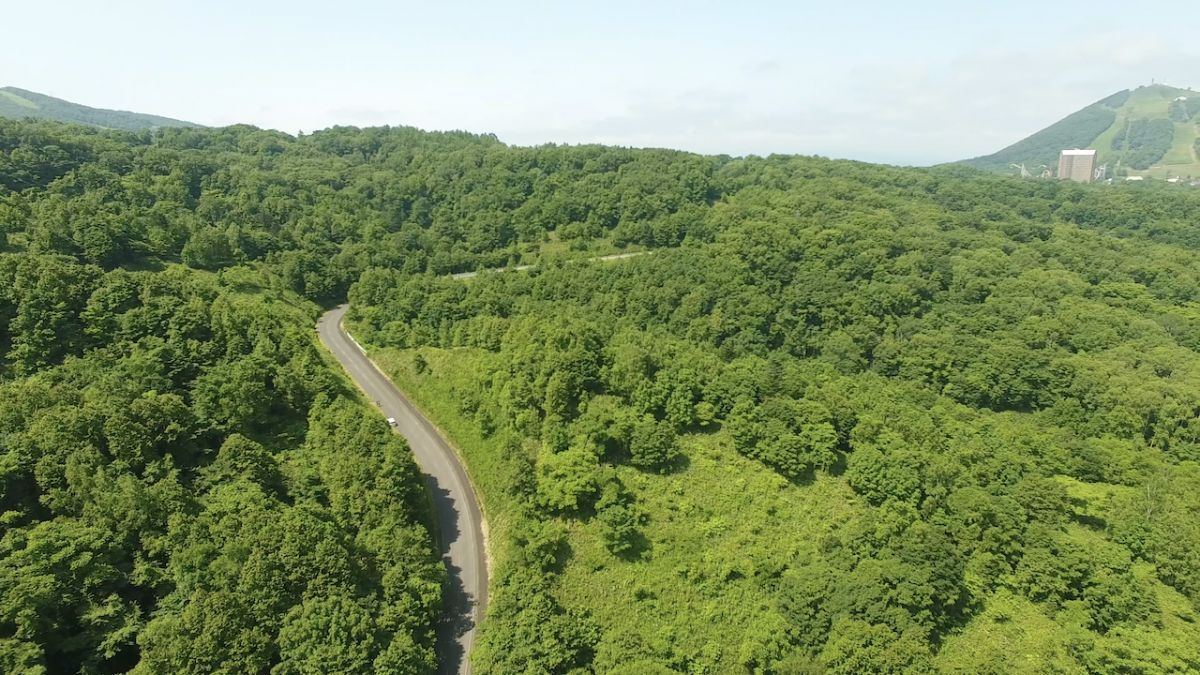 Discover a scenic mountain road winding through lush, green forests.