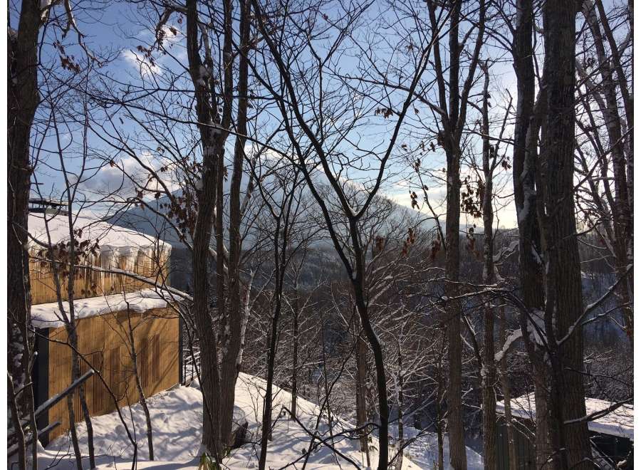 Nestled in a snowy forest, this stunning property offers breathtaking views of majestic mountains.