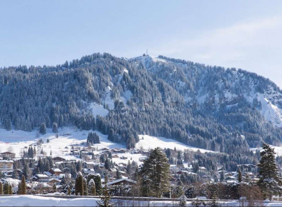 Nestled in a picturesque Swiss village, this stunning property offers breathtaking views of snow-capped mountains and a charming winter landscape.