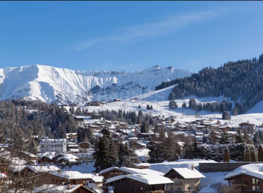 Nestled in a picturesque snow-covered village, this charming property offers breathtaking views of the majestic French Alps.