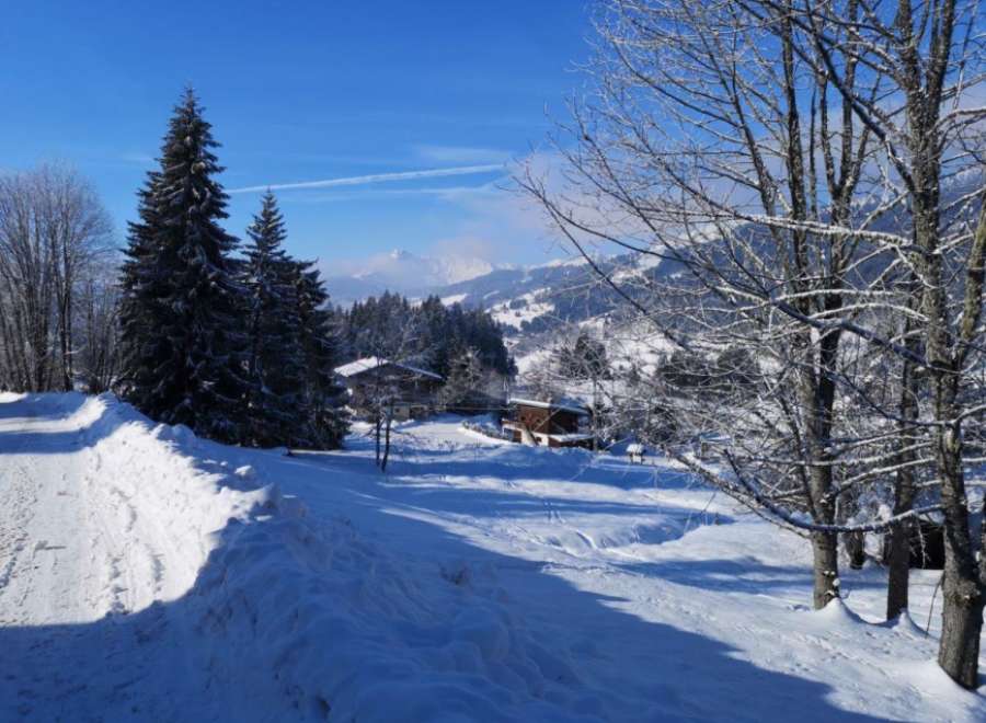 Discover this idyllic winter escape nestled in the snowy mountains.
