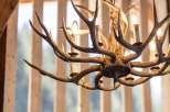 Experience rustic elegance with this stunning antler chandelier, a perfect centerpiece for any lodge or cabin.
