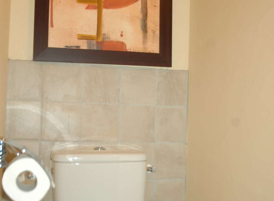 This bathroom features a modern toilet with a convenient toilet paper holder.