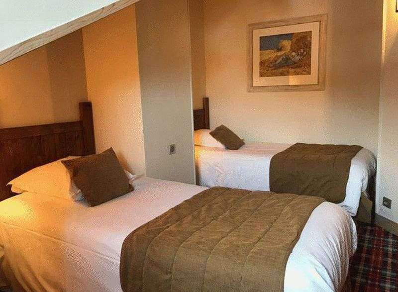 Cozy twin beds in a well-lit room, perfect for a comfortable stay.