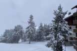 Experience the serene beauty of a winter wonderland! This property offers stunning views of snow-covered trees and a peaceful atmosphere.