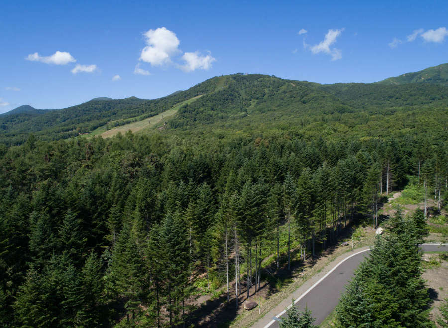 This property boasts stunning views of lush green mountains and a dense pine forest.