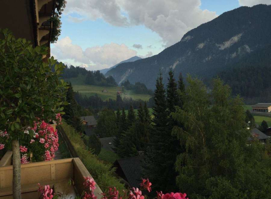 Enjoy breathtaking mountain views from this charming property.