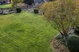Enjoy the tranquility of this stunning property, featuring a lush green lawn perfect for relaxation.