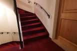 This elegant staircase features a rich red carpet, creating a warm and inviting atmosphere.