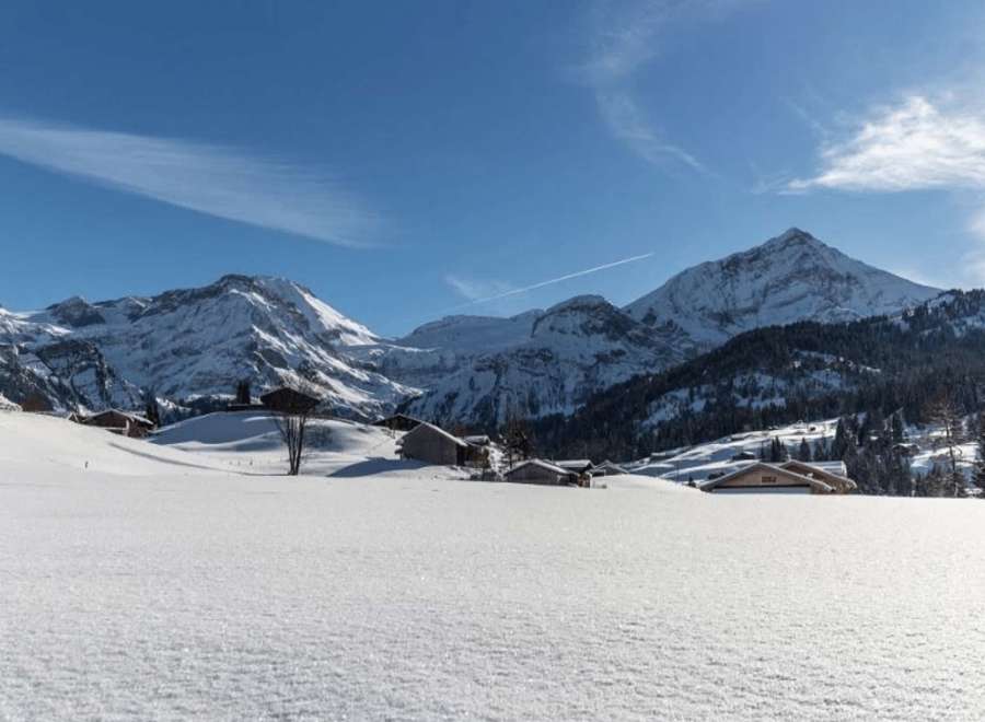 Experience the serene beauty of a snow-covered landscape, perfect for a winter getaway.