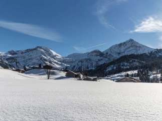 Experience the serene beauty of a snow-covered landscape, perfect for a winter getaway.