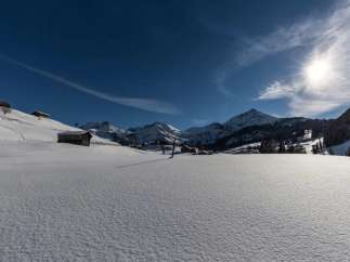 Experience the serene beauty of a snow-covered landscape.