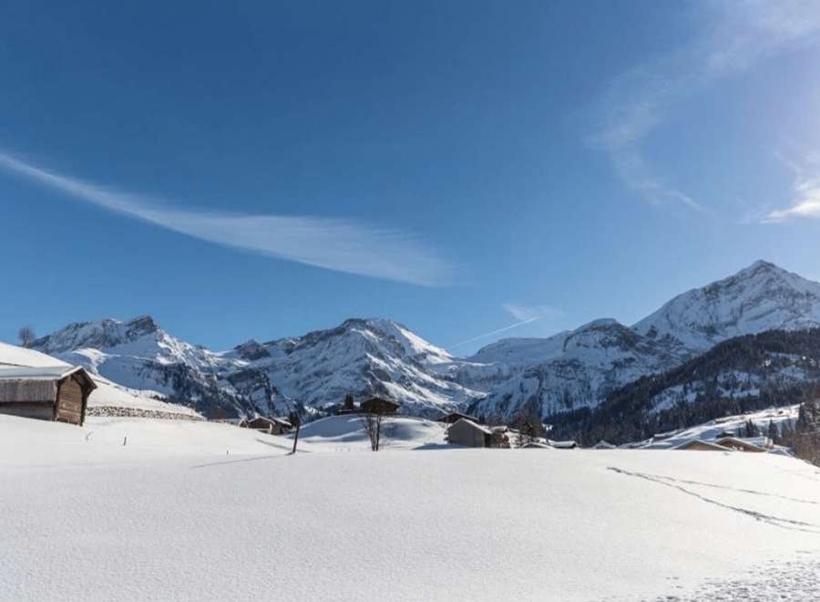 Experience the serene beauty of the Swiss Alps in winter.