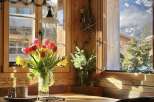 Experience the charm of this cozy cabin with stunning mountain views.