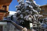 Experience the charm of a winter wonderland at this stunning property.
