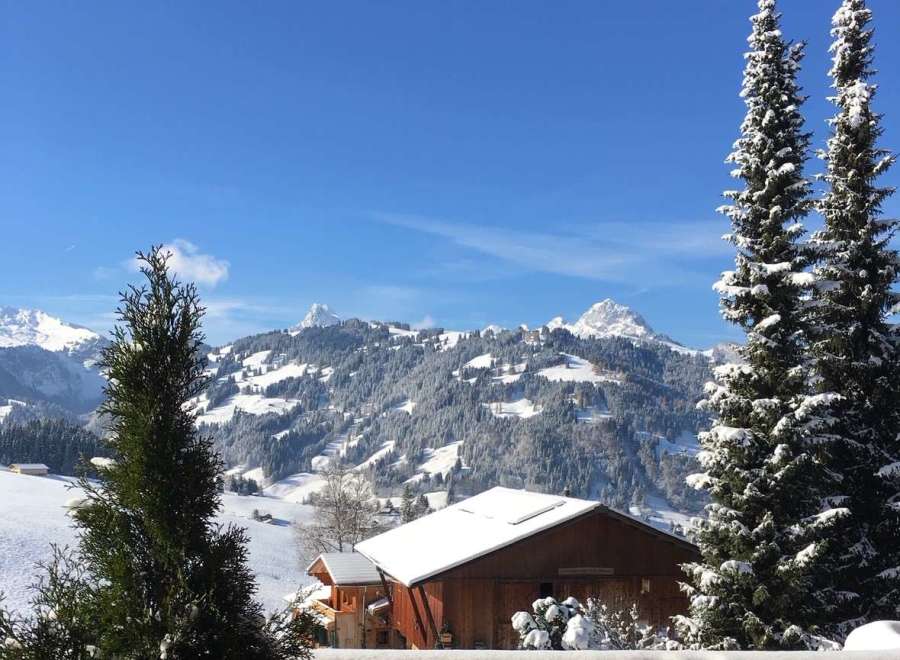 Enjoy breathtaking mountain views from this cozy chalet.