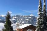 Enjoy breathtaking mountain views from this cozy chalet.