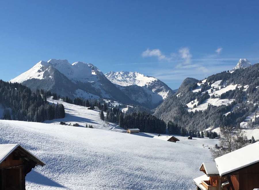 Experience the breathtaking beauty of the Swiss Alps in this stunning winter landscape.