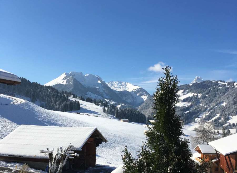 Enjoy breathtaking mountain views from this cozy chalet.