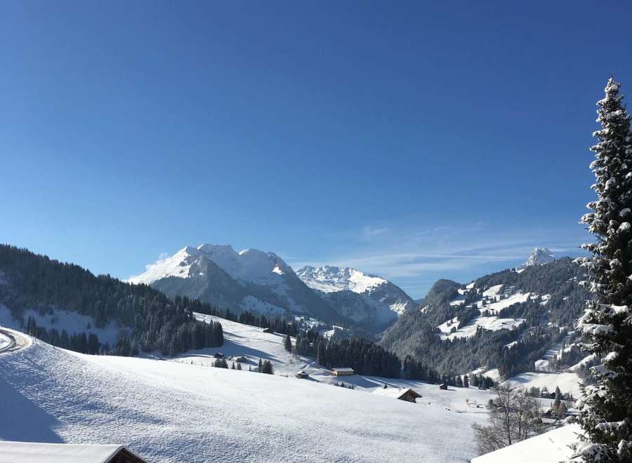 Experience the breathtaking beauty of a snow-covered mountain landscape.