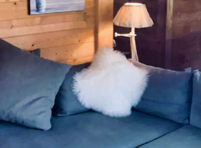 Cozy living room with a modern sectional sofa and a fluffy white pillow.