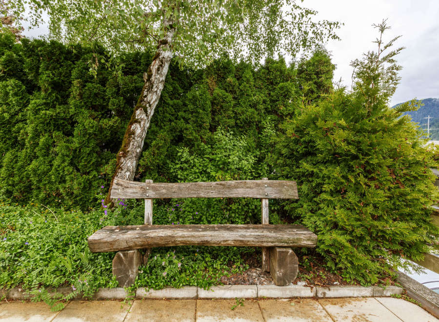 Enjoy the tranquility of this charming outdoor space, featuring a rustic wooden bench nestled amidst lush greenery.