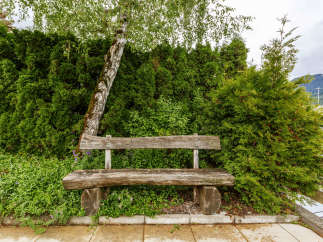 Enjoy the tranquility of this charming outdoor space, featuring a rustic wooden bench nestled amidst lush greenery.