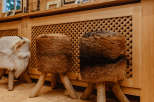 Cozy up in this inviting space featuring unique fur-covered stools.