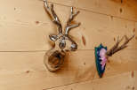 This property features unique wall decor, including a metallic deer head and a mounted antler display.