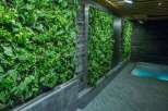 Experience tranquility in this stunning property featuring a unique living wall design.