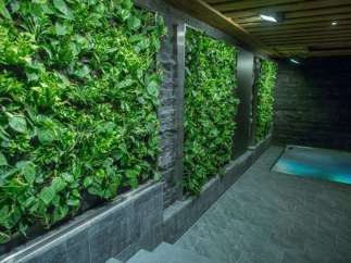 Experience tranquility in this stunning property featuring a unique living wall design.