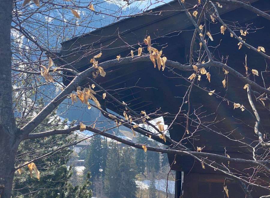 Nestled amidst the serene beauty of nature, this property offers a tranquil escape.