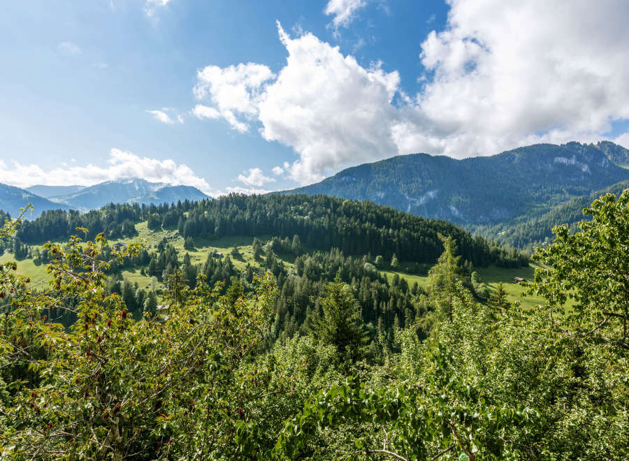 Explore the breathtaking beauty of the mountains, where lush greenery meets the sky.