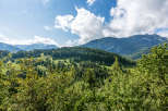 Explore the breathtaking beauty of the mountains, where lush greenery meets the sky.