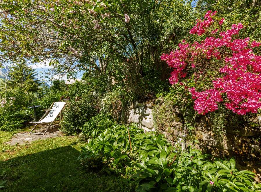 Discover a serene garden oasis, perfect for relaxation and enjoying nature.